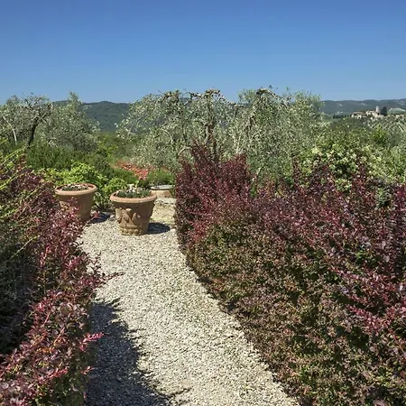 L'oliveta *