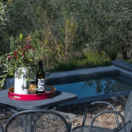 L'oliveta Gaiole in Chianti