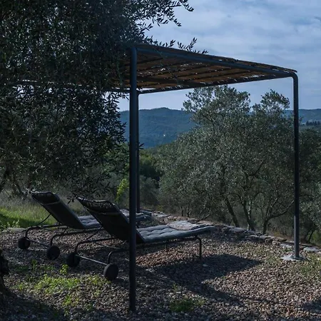 L'oliveta *