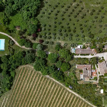L'oliveta Gaiole in Chianti