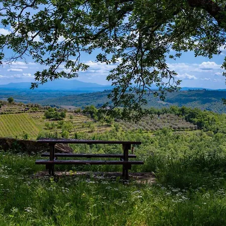 L'oliveta Gaiole in Chianti