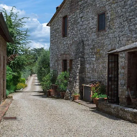 L'oliveta