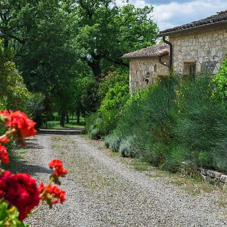 L'oliveta Holiday home Gaiole in Chianti